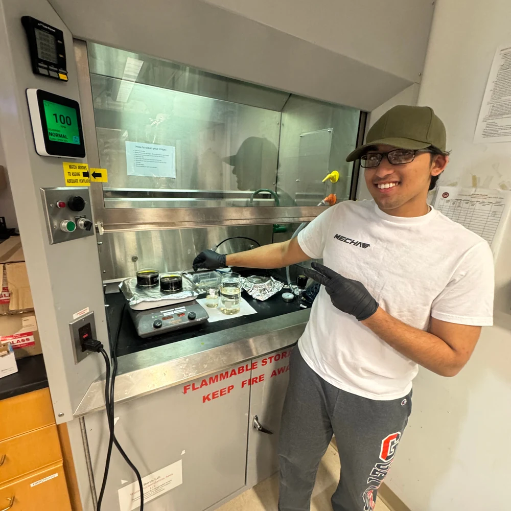 Cleanroom — hover reveal